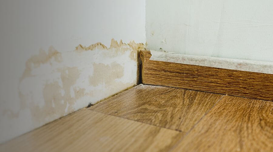 Why choose water damage restoration service for storm damage restoration in Seattle